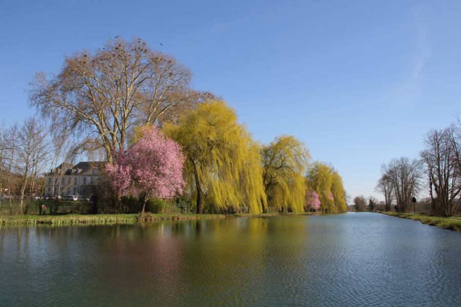 Canal de Bourgogne avec des arbres fleuris