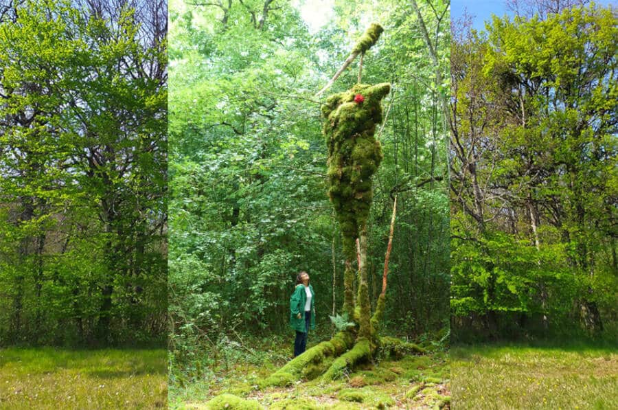 Sculpture dans la forêt des géants verts