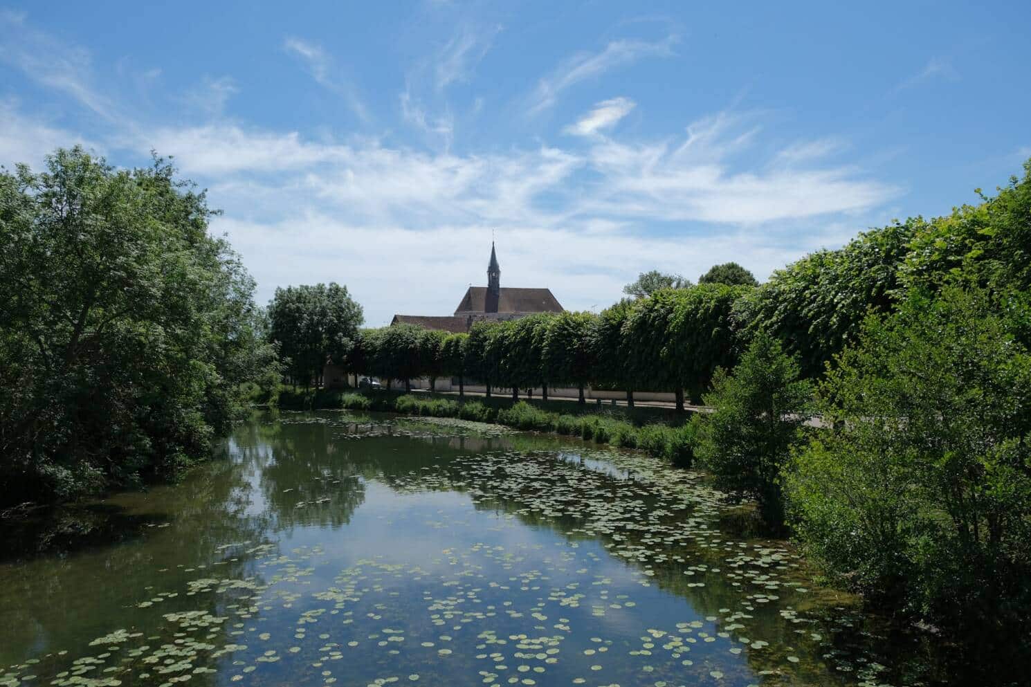 Vue sur l'Eglise Saint-Martin de Chablis avec Le Serein en premier plan