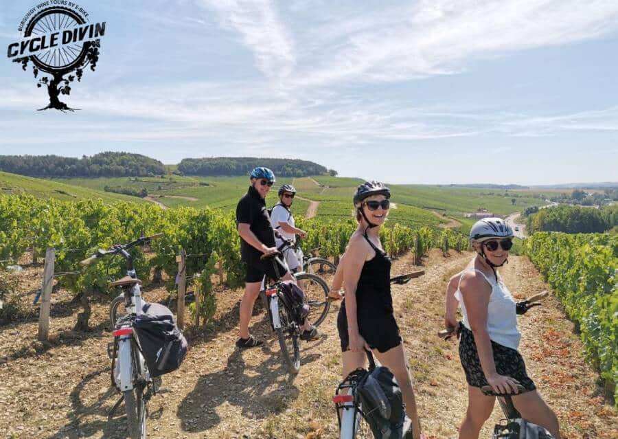 Grand cru "les Preuses" à Chablis - Cycle Divin