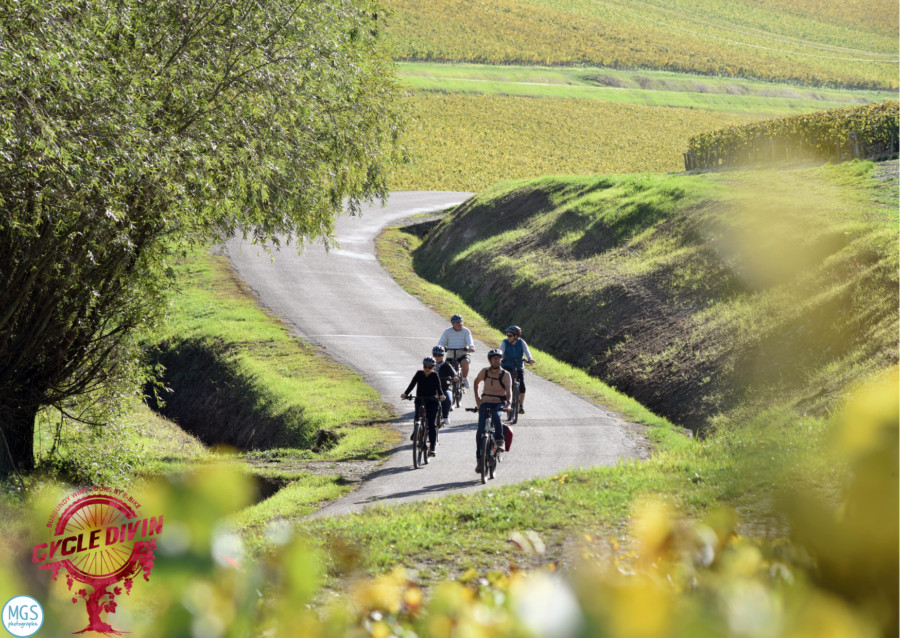 Balade dans le vignoble Chablisien