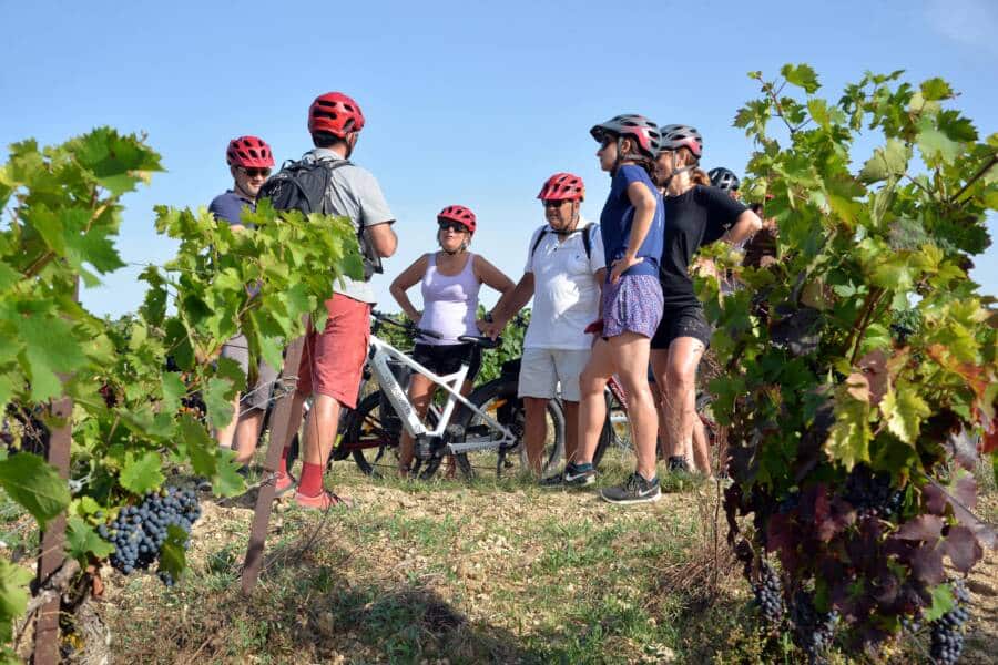 Explication dans les vignobles