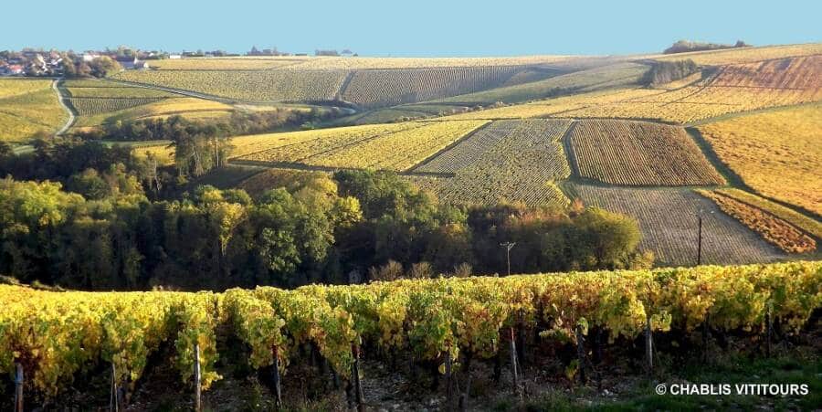 couleurs automne chablis - Chablis Vititours