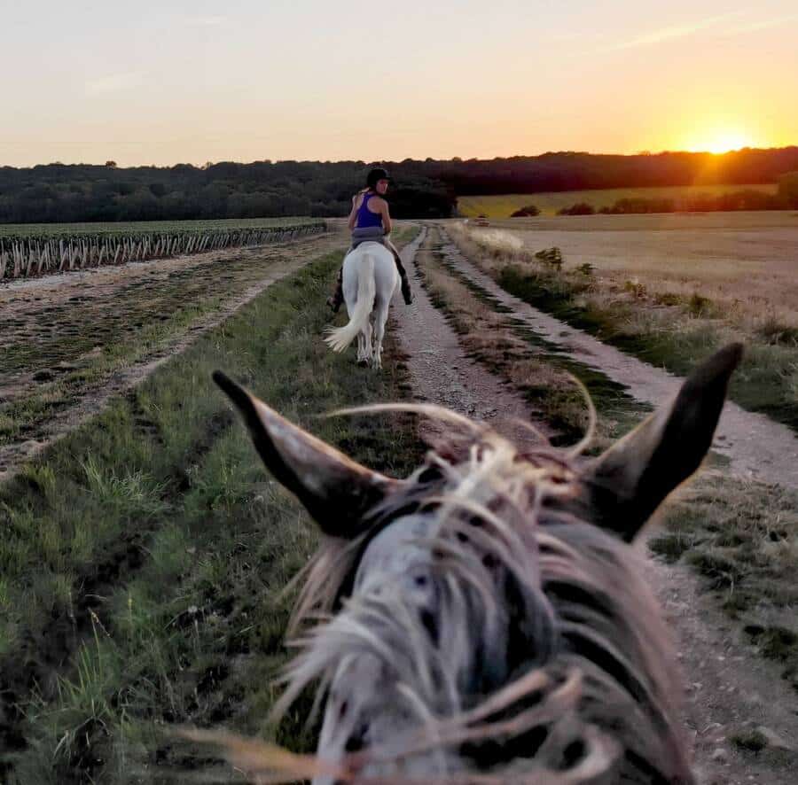 randonnée-vignes-cheval-yonne