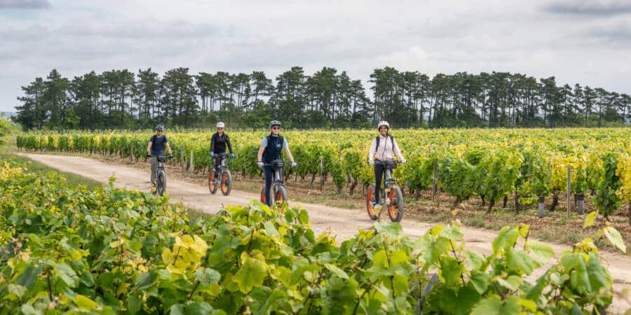 France à Vélo - Chablis