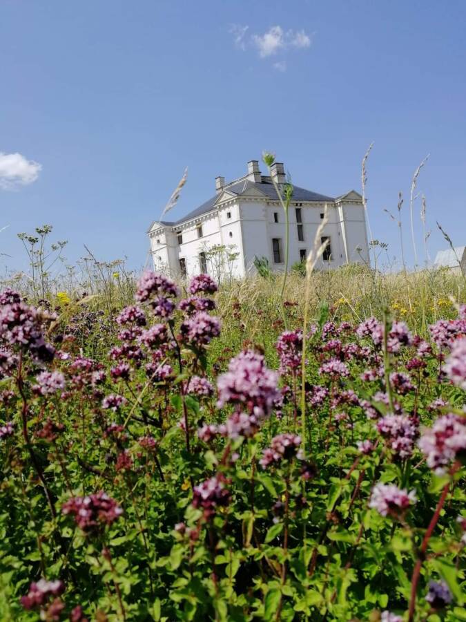 Rendez-vous aux jardins