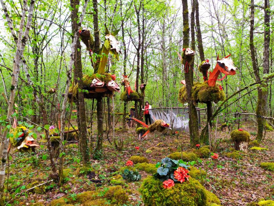 LA FORÊT DES GÉANTS VERTS