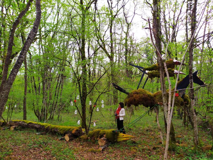 LA FORÊT DES GÉANTS VERTS