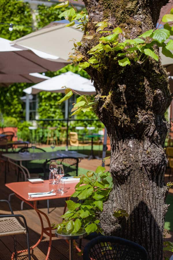 Terrasse bistrot des grands crus