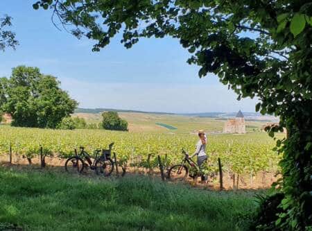 Vélo vignes panorama